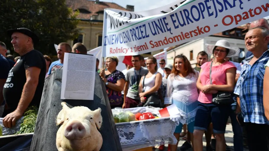 Na sandomierskim rynku pojawili rolnicy którzy protestowali wobec polityki rolnej Prawa i Sprawiedliwości