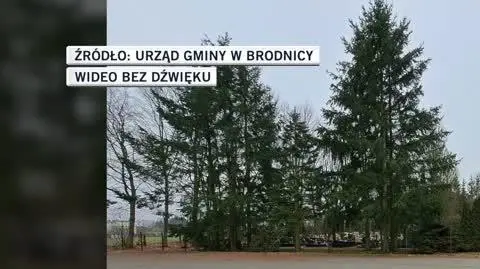 Urząd Gminy w Brodnicy