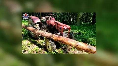 Bracia wycinali drzewa, jednego z nich przygniótł ciągnik. 68-latek zmarł na miejscu