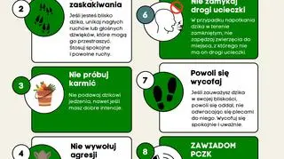 Plakat rozwieszany przez władze Jaworzna