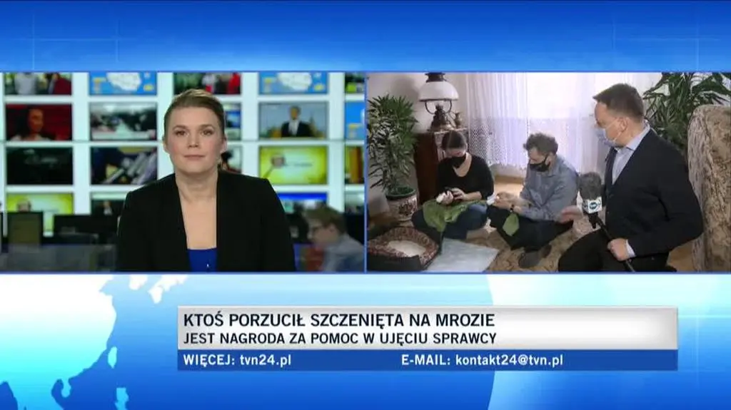 Psy są pod opieką urzędników