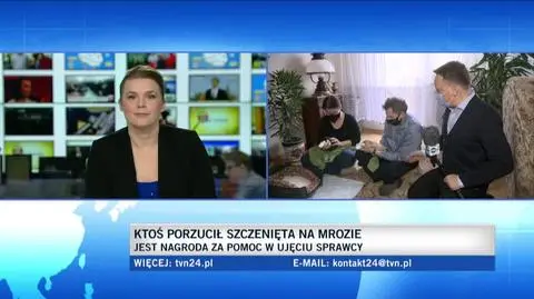 Psy są pod opieką urzędników