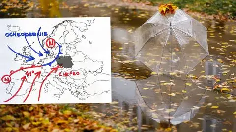 meteo wasyl