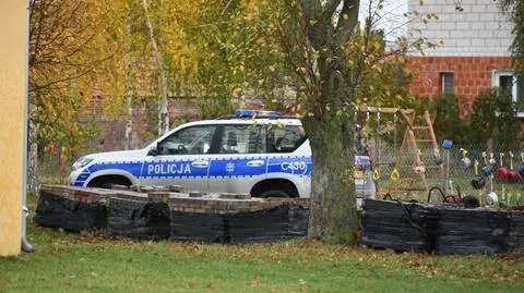 W pożarze stodoły zginęło 10 alpak i lama