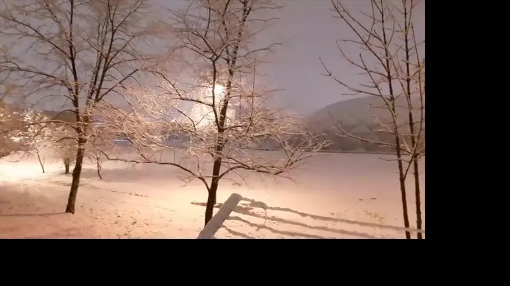 Mielec pod śniegiem, Podkarpackie