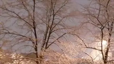 Mielec pod śniegiem, Podkarpackie