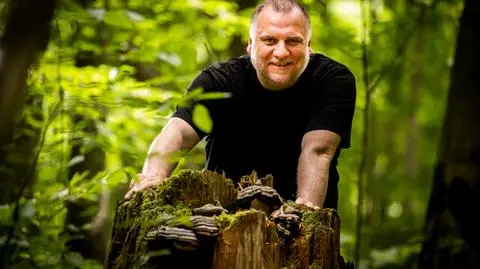 Drzewa niszczy, ale może być nadzieją w walce z nowotworami. Naukowcy mają już patent