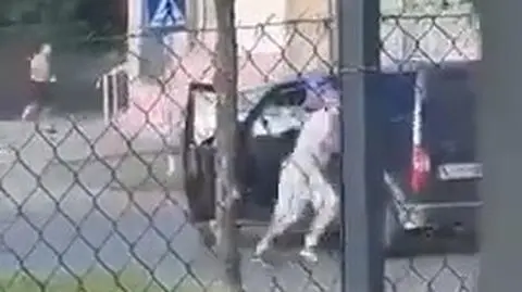 Strzelanina w Mikulczycach