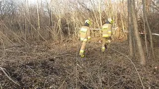 Na działce znaleziono ludzkie szczątki, w poszukiwaniach pomagali strażacy