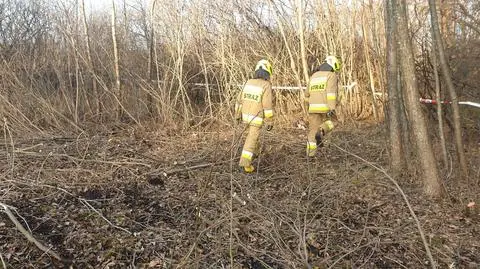 Na działce znaleziono ludzkie szczątki, w poszukiwaniach pomagali strażacy