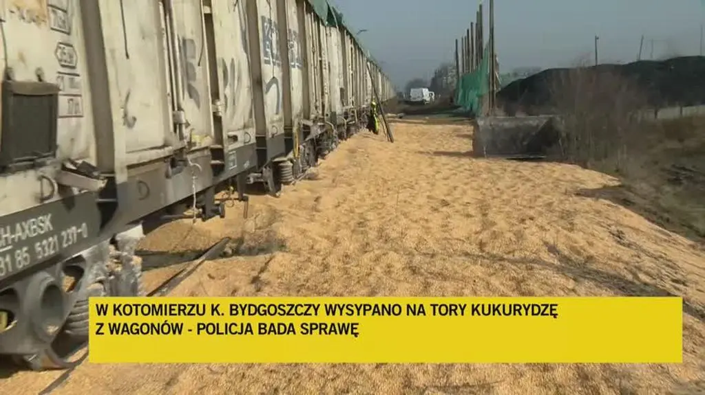 Kotomierz