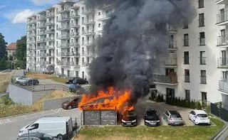 Pożar wiat śmietnikowych w Elblągu