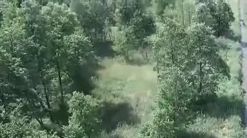 Pilot policyjnego drona znalazł zaginioną kobietę