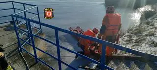 Strażacy dojechali do łabędzi na saniach lodowych