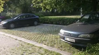 Betonowe kraty trawnikowe - parking, który potrafi chłonąć wodę