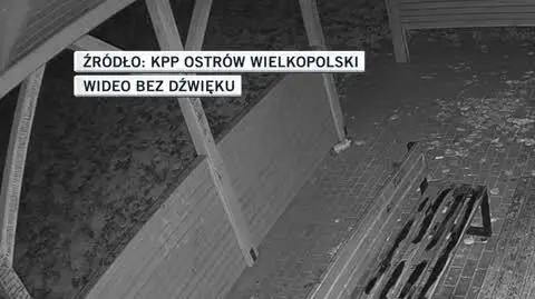 slideshow filip 