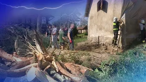 Pospolite ruszenie po przejściu nawałnic