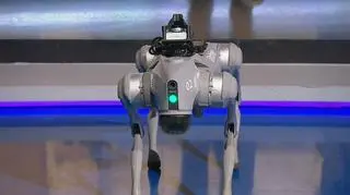 Taki robot może wejść w niebezpieczne miejsca