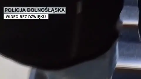 policja