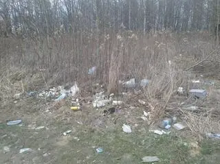 Śmieci porzucone w lesie