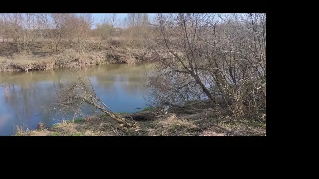 wisłok