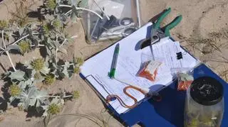 Tak pobierano materiał w terenie