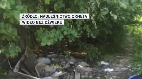 Nadleśnictwo Orneta