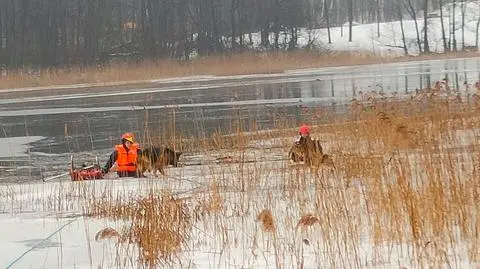 Trzymały się łapami tafli lodu. Nie mogły wyjść z wody. Psy uratowali strażacy