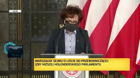 witek holandia 