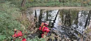 Mężczyzna mógł wpaść do wody