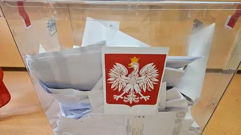 wybory