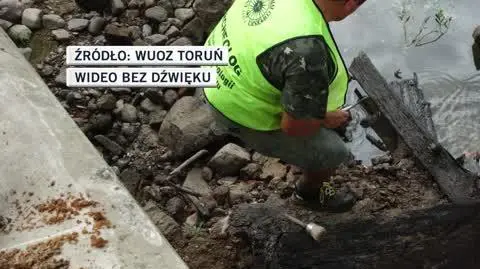 WUOZ Toruń