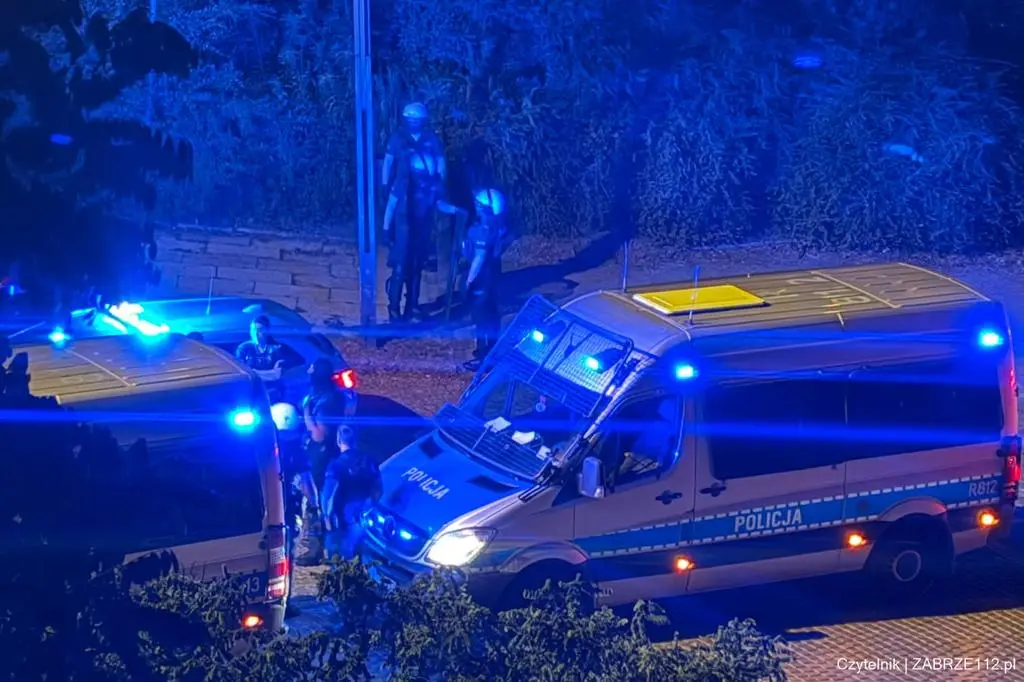 Interwencja policji w Zabrzu