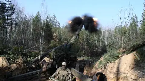 Artyleria na Ukrainie
