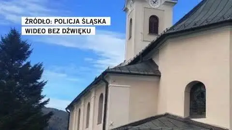 Policja Śląska