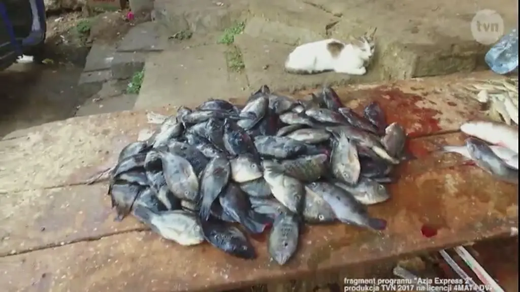 Trzeci odcinek programu Azja Express