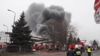 Gapiowie odsuwani są od pożaru