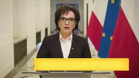 WIETK KROTKA