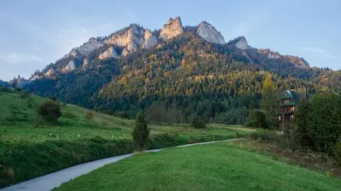 shutterstock_1776850247