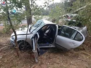 Huta-Dąbrowa, Pniówek. Mężczyzna zmarł po uderzeniu w drzewo
