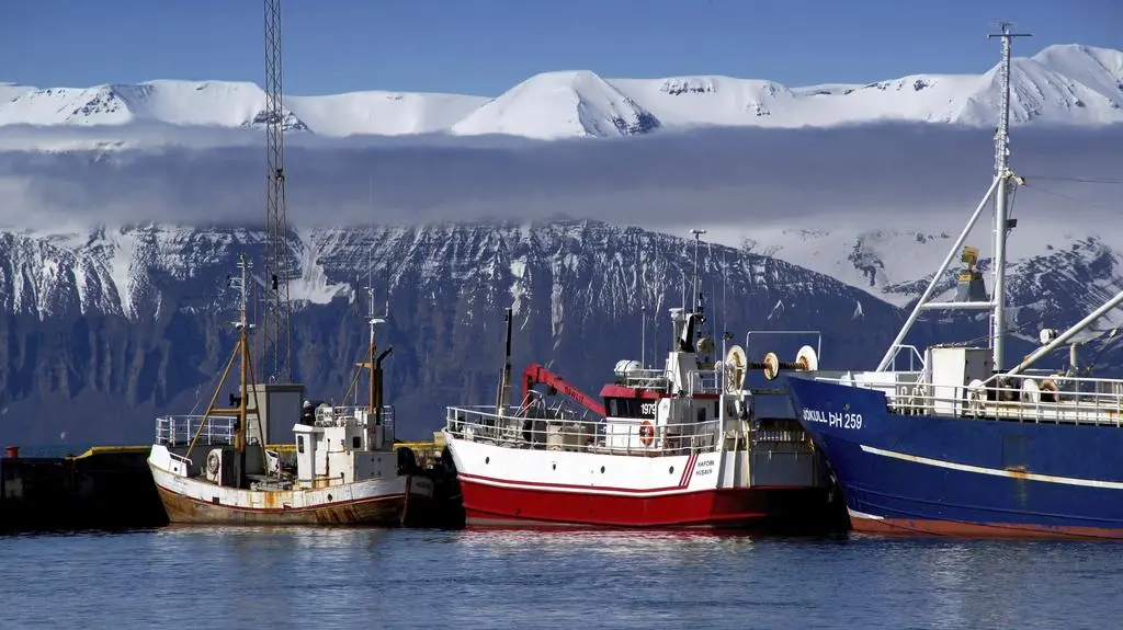 Islandia decyduje w sprawie Unii Europejskiej. Są częściowe wyniki
