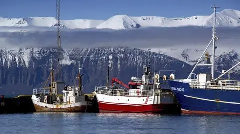 Islandia, kutry rybackie