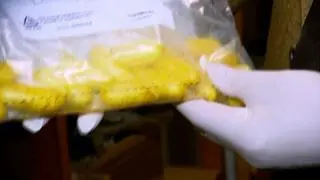 Jedna osoba potrafi przemycać w organizmie nawet kilkadziesiąt kapsuł z narkotykami