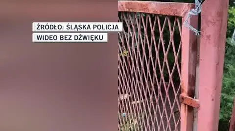 slideshow slaska policja