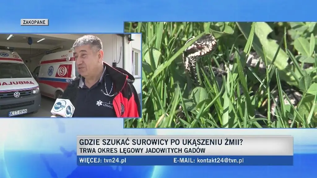 Co robić kiedy ukąsi nas żmija