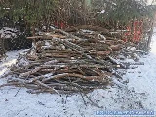 Na prywatnej posesji znaleźli drewno na opał. Policja: było kradzione