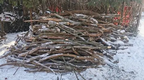 Na prywatnej posesji znaleźli drewno na opał. Policja: było kradzione