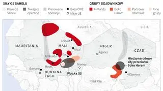 Sahel walczy z dżihadystami aktywnymi w regionie 