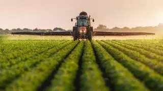 "Gdy gaz drożeje, rachunek bardzo szybko trafia do rolnictwa"