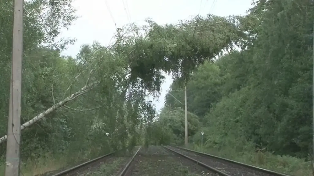 Drzewa zablokowały trasę kolejową